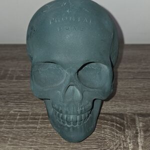 Human Skull Ceramic Anatomy Bones & Structure Names Labeled 5" SEE PICTURES